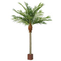 Giant Majesty Palm Tree 490cm - Evergreen Walls