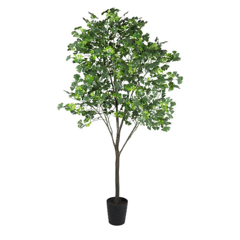 Ginkgo Tree Green 213cmh - Evergreen Walls