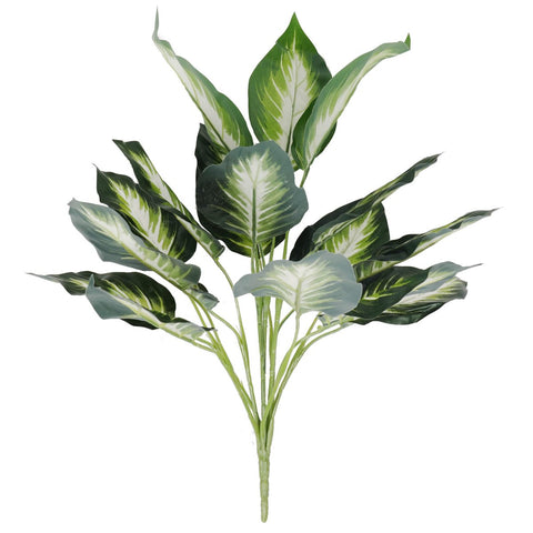 Hosta Bush 50cml - Evergreen Walls
