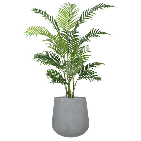 Indoor Areca Palm 1.2m - Evergreen Walls