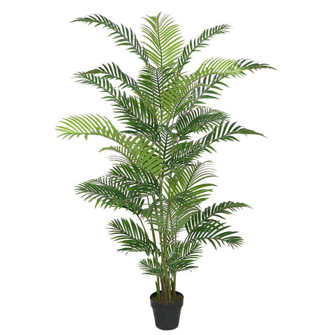 Indoor Areca Palm 1.8m - Evergreen Walls