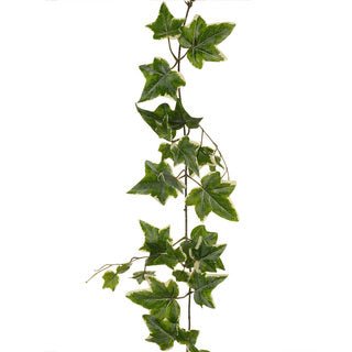 Ivy Garland Variegated 152cm (UV) - Evergreen Walls