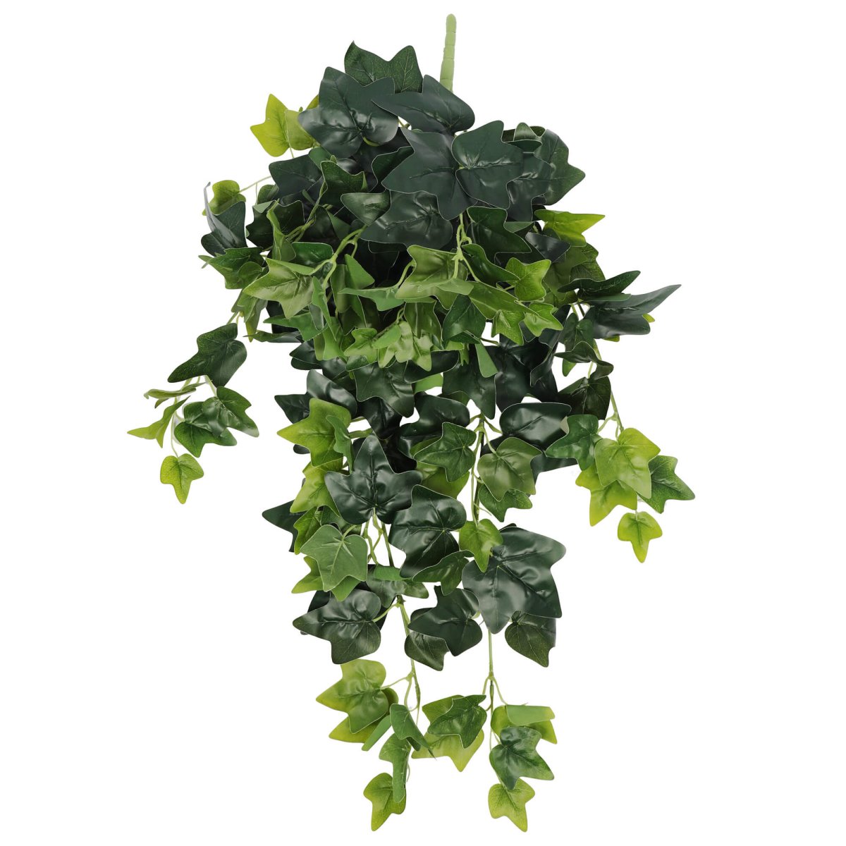Ivy Hanging Bush 80cml - Evergreen Walls