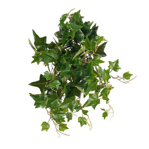 Ivy Hanging Bush Green 52cm (UV) - Evergreen Walls