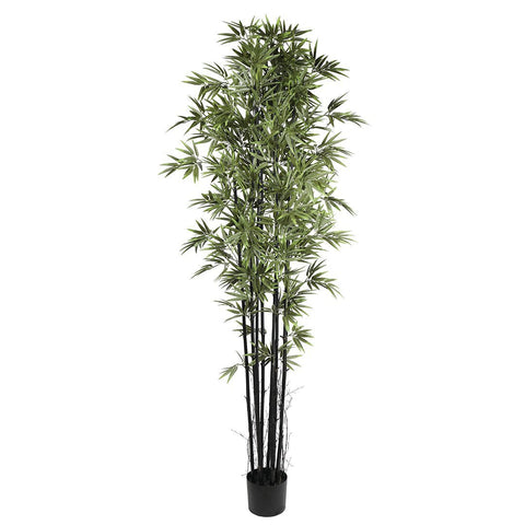 Japanese Bamboo Plant 180cm (UV) - Evergreen Walls