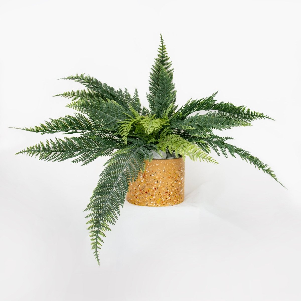 Leather Fern Bush UV Large 60cm - Evergreen Walls