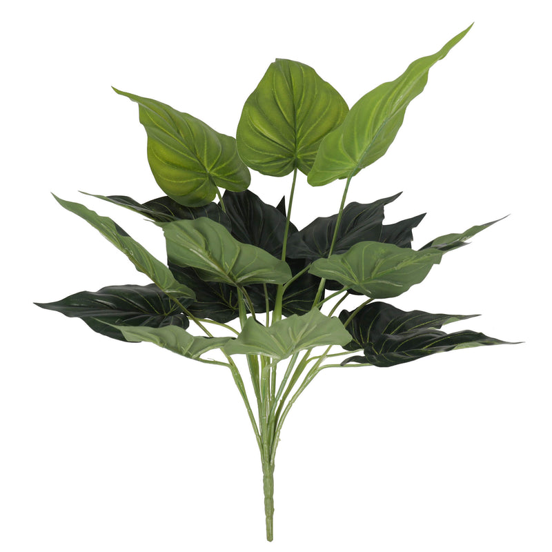 Philodendron Bush 50cml - EvergreenWalls