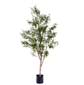 Olive Tree 150cm - Evergreen Walls