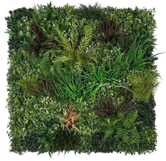 Premium Autumn - Evergreen Walls