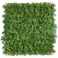 Premium Hedge - Evergreen Walls