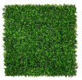 Sample - Classic Boxwood - Evergreen Walls