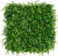 Sample - Classic Ferns - Evergreen Walls
