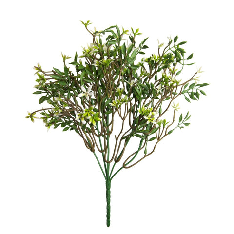 Star of Jasmine Bush (UV) - Evergreen Walls