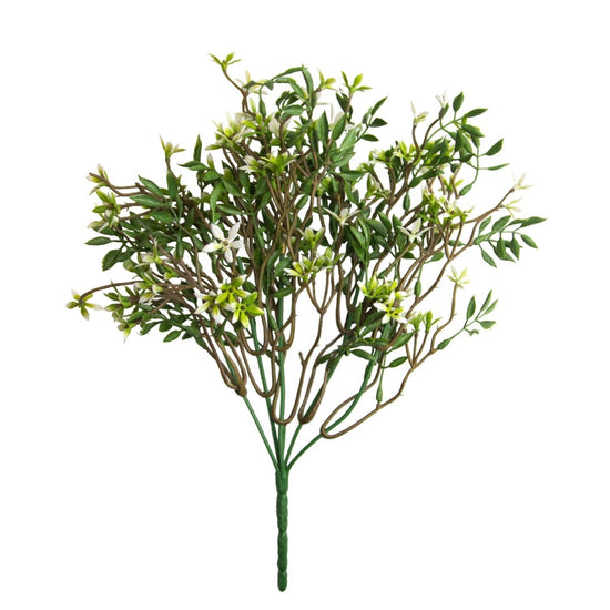 Star of Jasmine Bush (UV) - Evergreen Walls