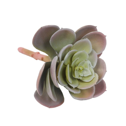 Succulent Dark Red - Evergreen Walls