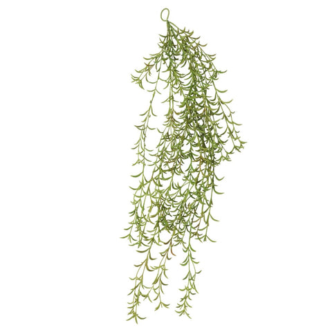 Succulent Hanging Bush 75cm - Evergreen Walls