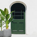 Traveller Palm 160cm - Evergreen Walls
