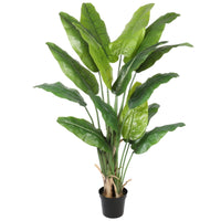 Travellers Palm 180cm - Evergreen Walls