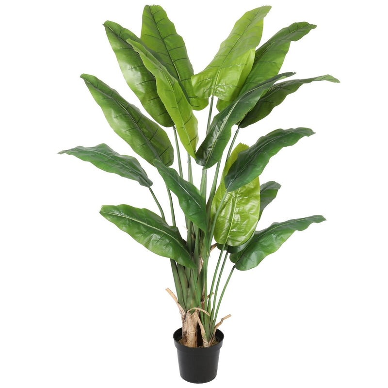 Travellers Palm 180cm - Evergreen Walls