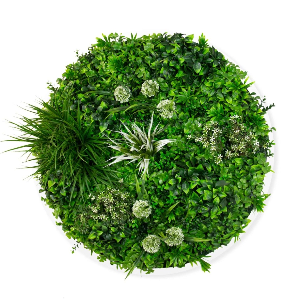 Triple Disc Bundle - 3 x Blossom (S,M,L) - Evergreen Walls