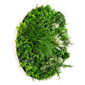 Triple Disc Bundle - 3 x Blossom (S,M,L) - Evergreen Walls