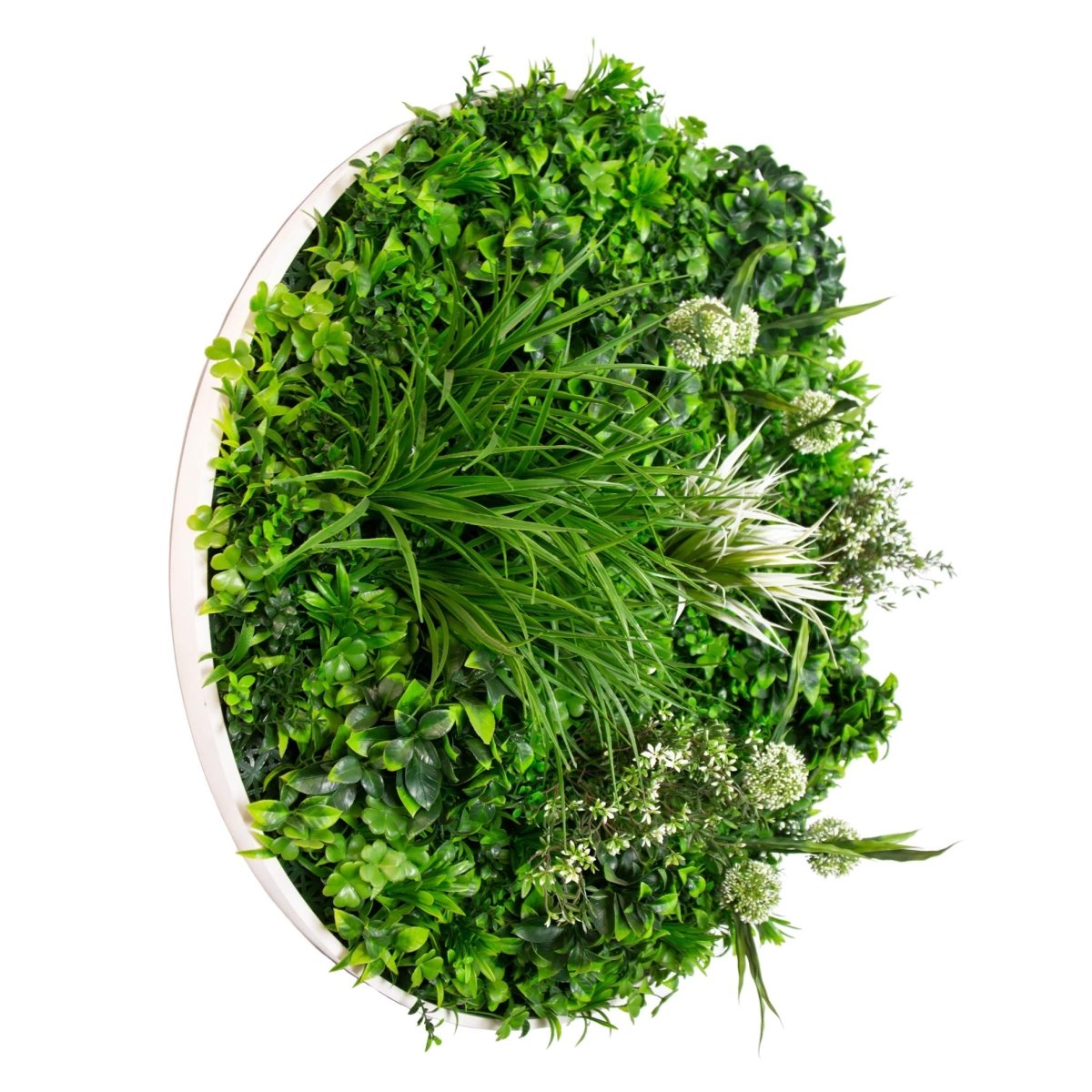 Triple Disc Bundle - 3 x Blossom (S,M,L) - Evergreen Walls