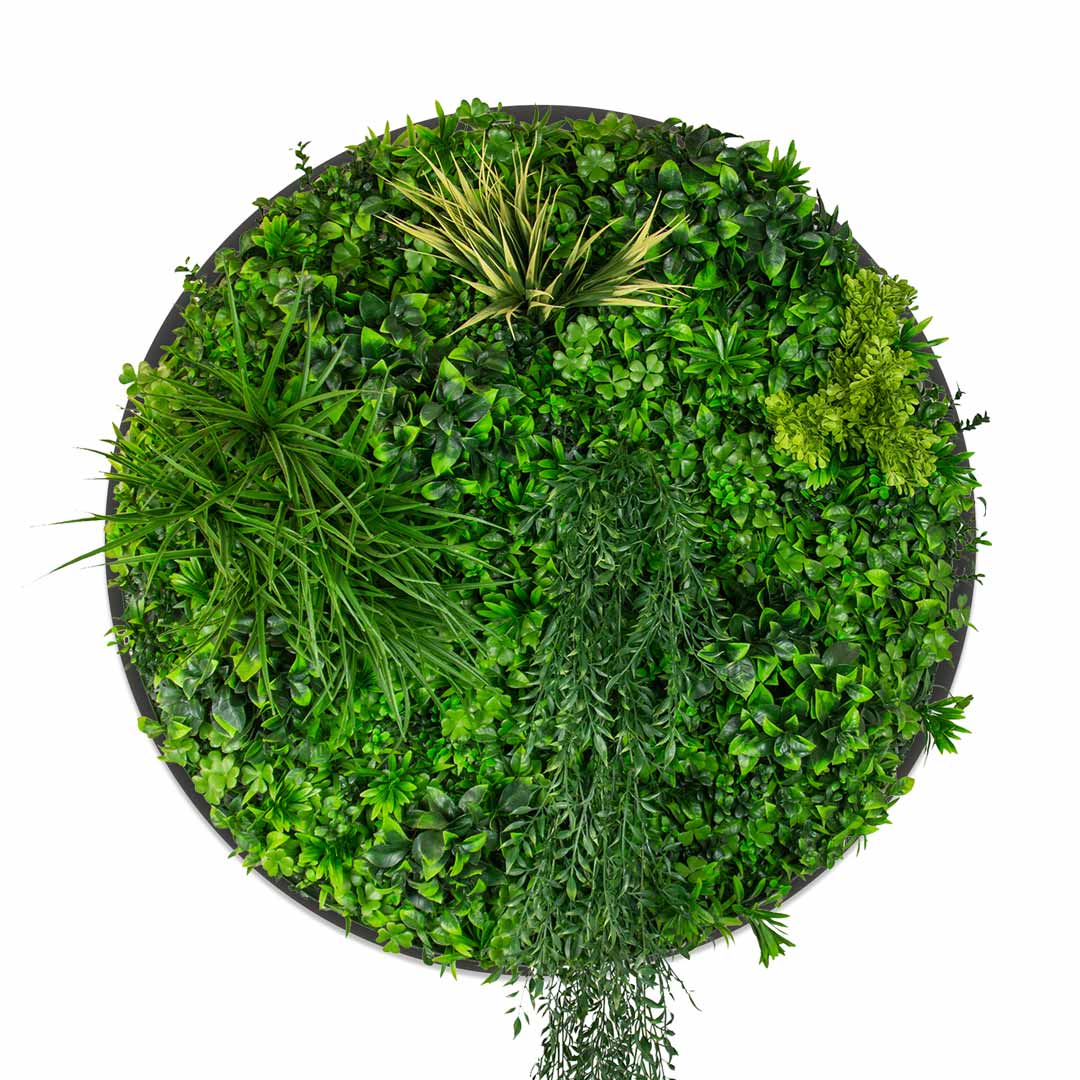 Triple Disc Bundle - 3 x Sunset (S,M,L) - Evergreen Walls