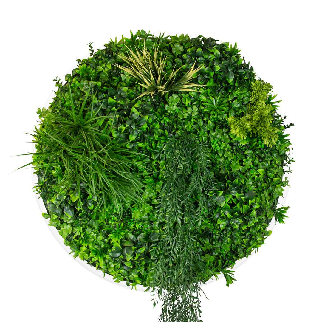 Triple Disc Bundle - 3 x Sunset (S,M,L) - Evergreen Walls