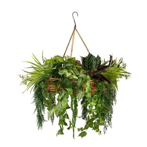 Wicker Hanging Basket - Large - Evergreen Walls