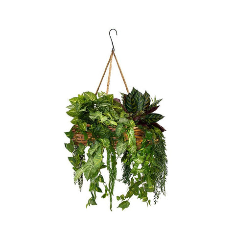 Wicker Hanging Basket - Small - Evergreen Walls