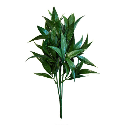 Willow Oak Bush - Evergreen Walls